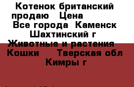 Котенок британский продаю › Цена ­ 3 000 - Все города, Каменск-Шахтинский г. Животные и растения » Кошки   . Тверская обл.,Кимры г.